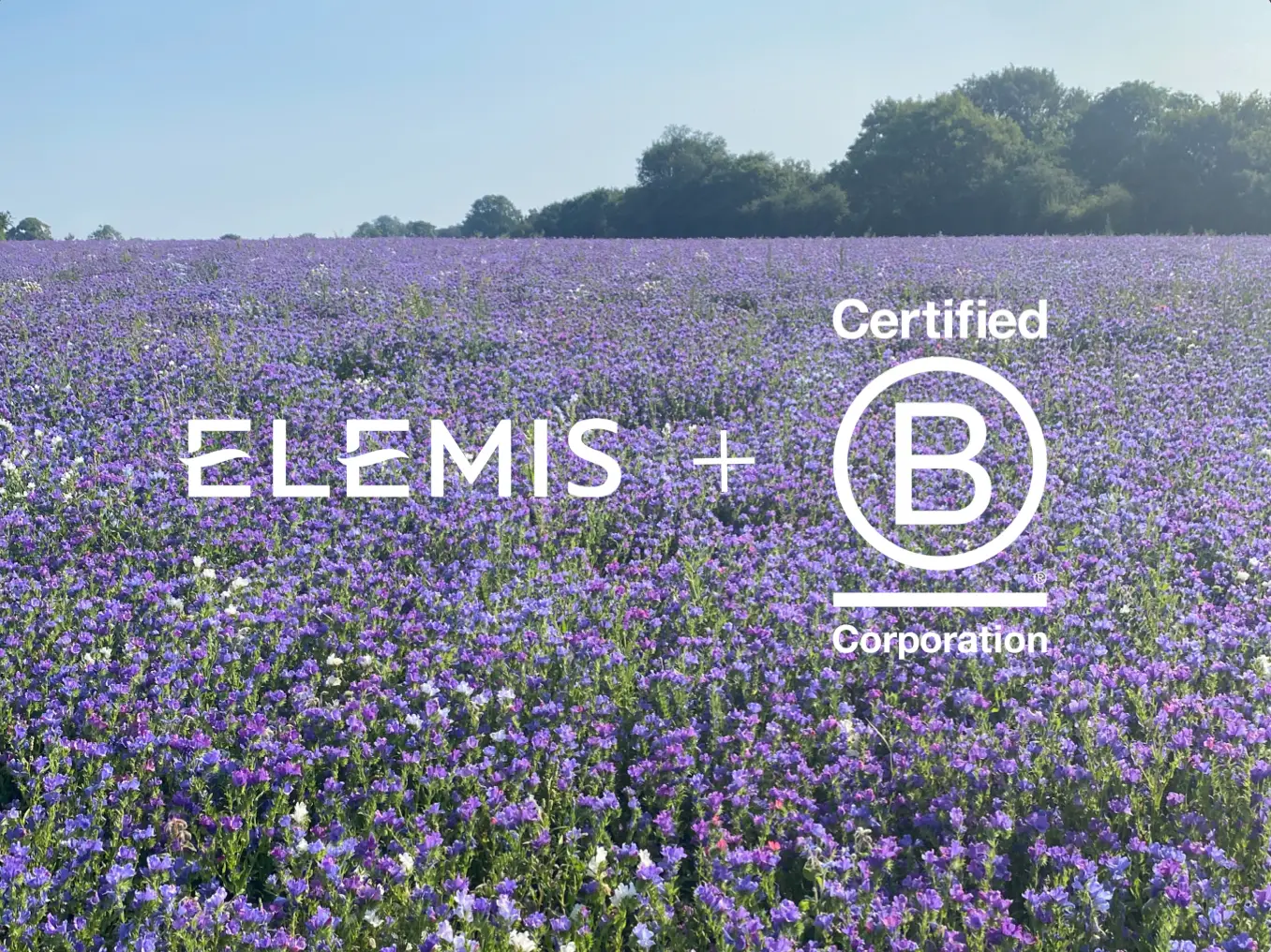 TROTS OM GECERTIFICEERD B-CORP TE ZIJN